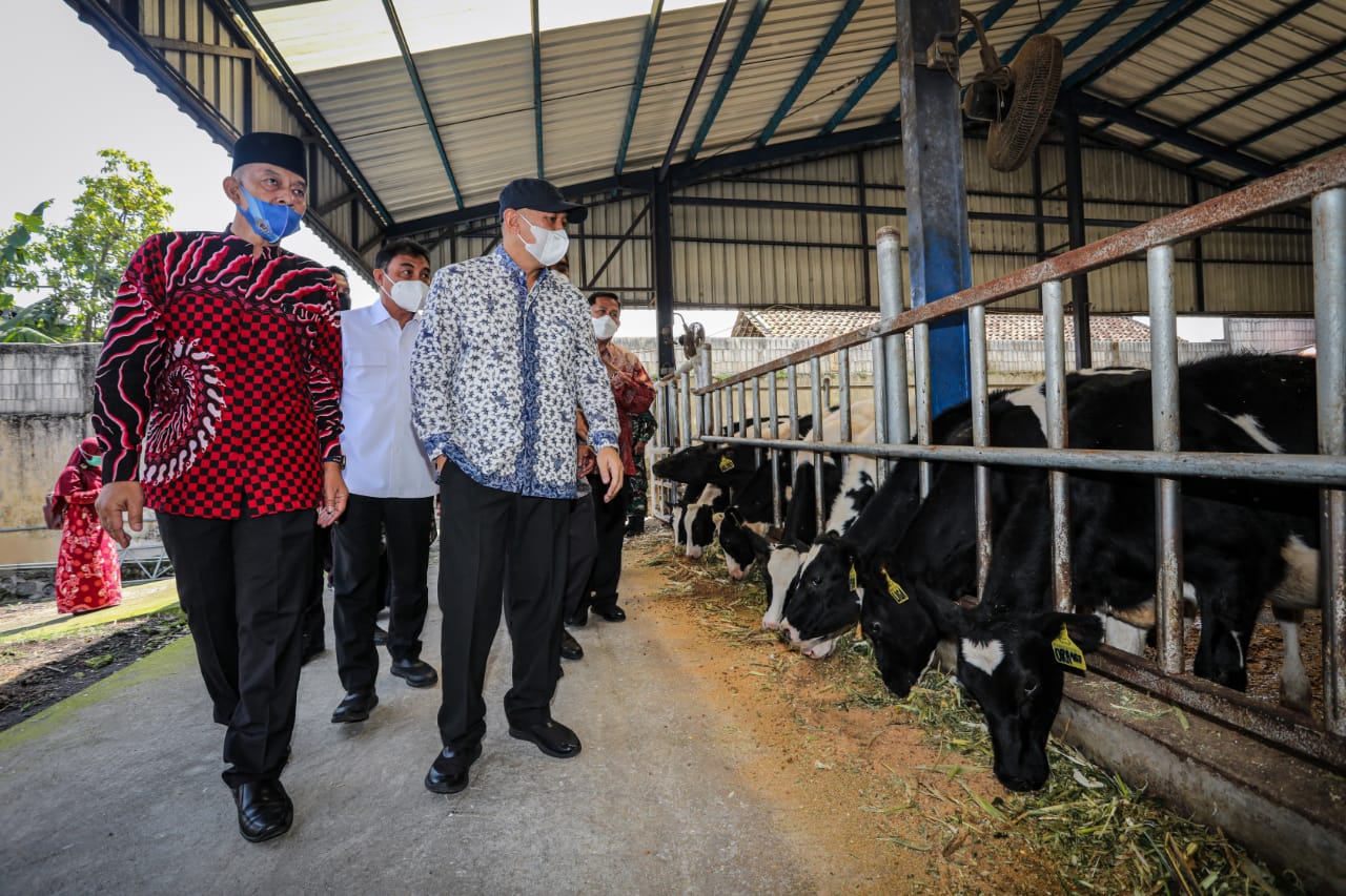 WhatsApp Image 2021-04-16 at 03.53.03