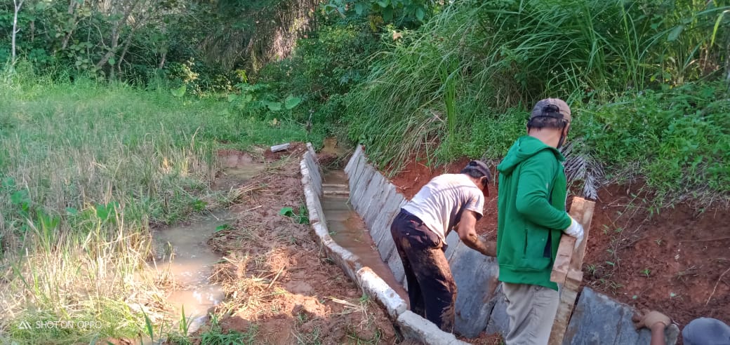 WhatsApp Image 2021-06-14 at 03.03.35