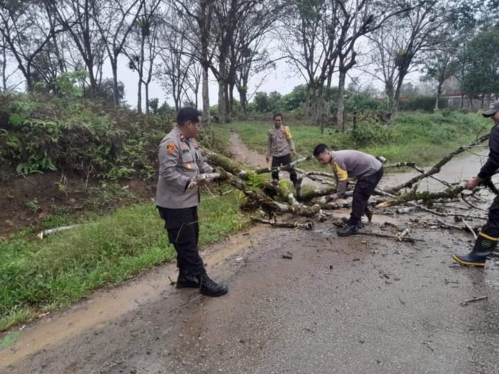 WhatsApp Image 2022-11-19 at 10.47.00
